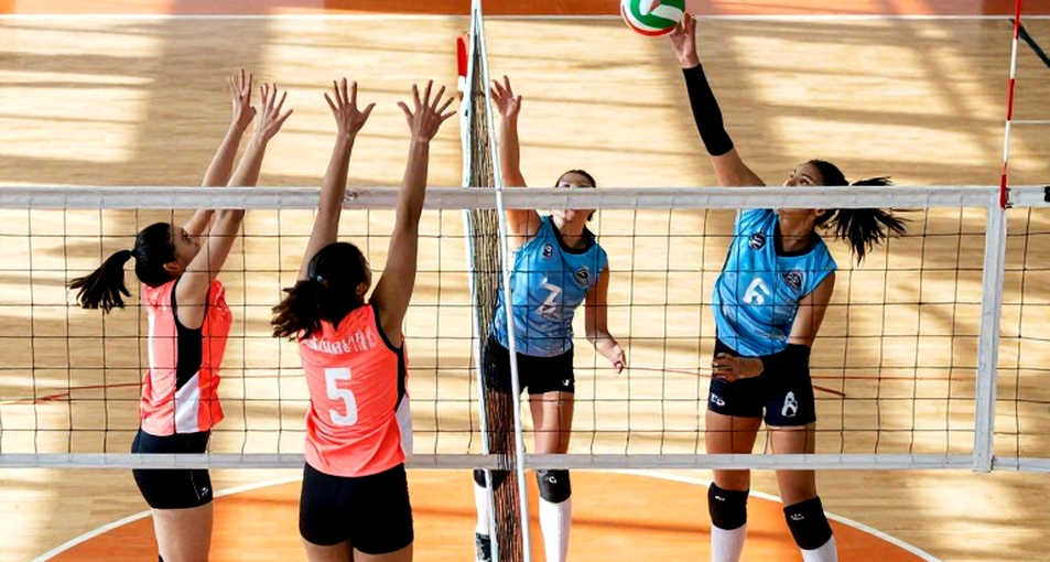 ACC đối đầu SEC: Shriners Children's Showdown at the Net 2026 và cuộc đua bóng chuyền nữ đại học Mỹ