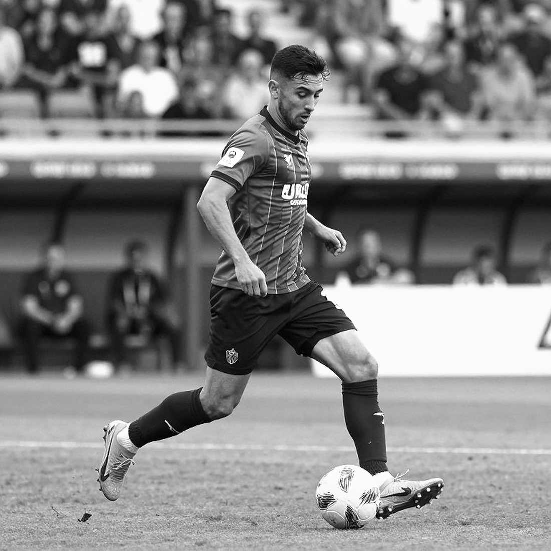CLB Thành phố Đồng Nai chính thức lên V-League: Từ Trường Tươi đến đại diện TP. Đồng Nai, hành trình thăng hạng đầy biến động CLB Thành phố Đồng Nai chính thức lên V-League: Từ Trường Tươi đến đại diện TP. Đồng Nai, hành trình thăng hạng đầy biến động
